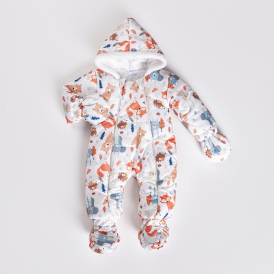 RENKLİ HAYVANLI KOZMONOT